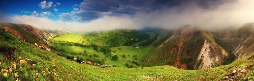 Туманное утро