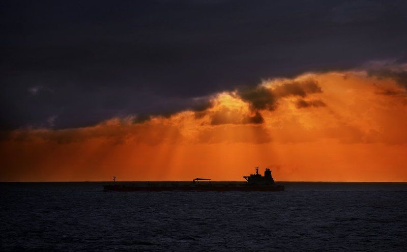 red january фото превью