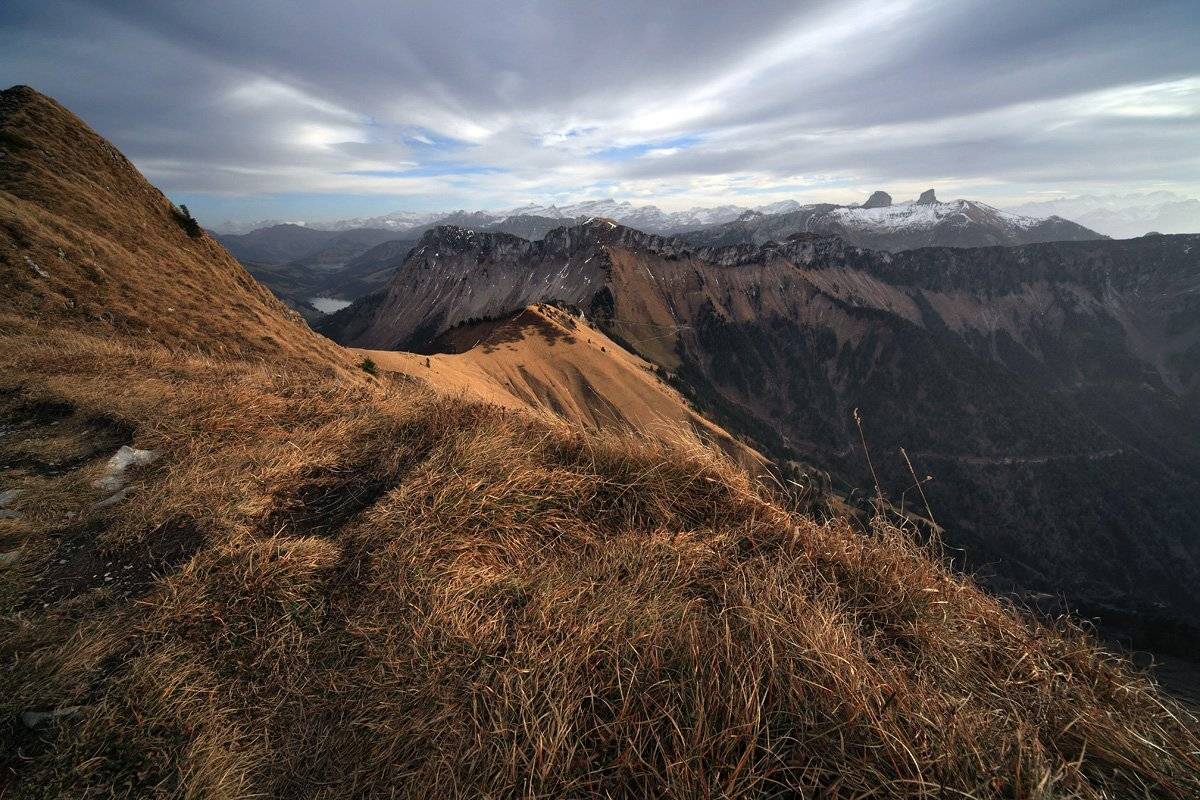 swiss, Матвеев Николай