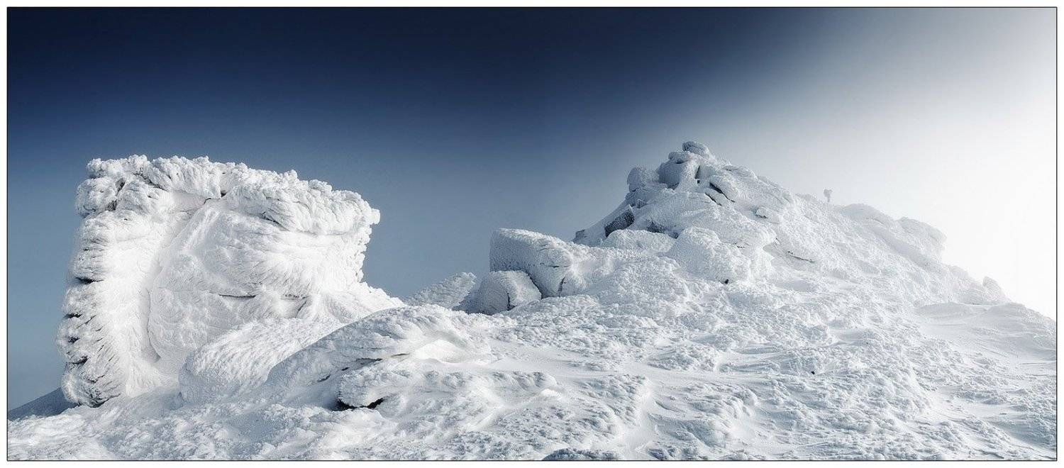 , Денис Кривой