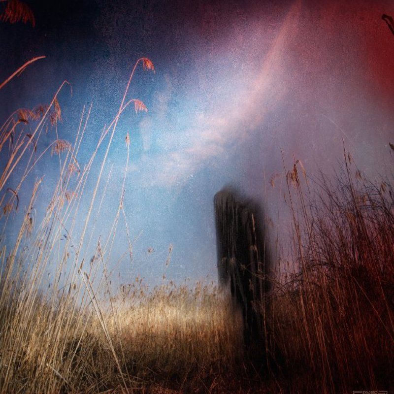 alone . фото превью