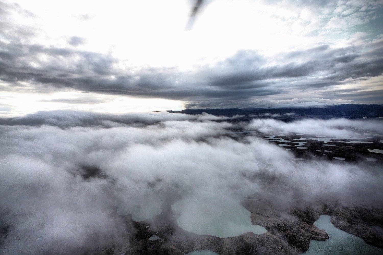 полуостров таймыр, вертолёт, шварц, Шварц  Леонид - shvartsphoto