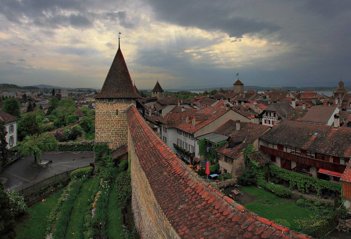 swiss, Матвеев Николай