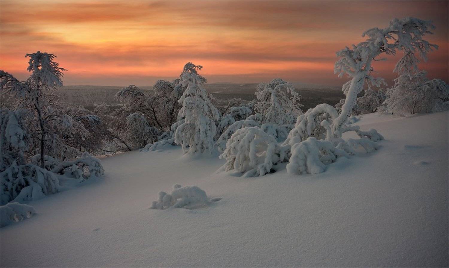 кольский, полуостров, зима, Nikolai (locus)