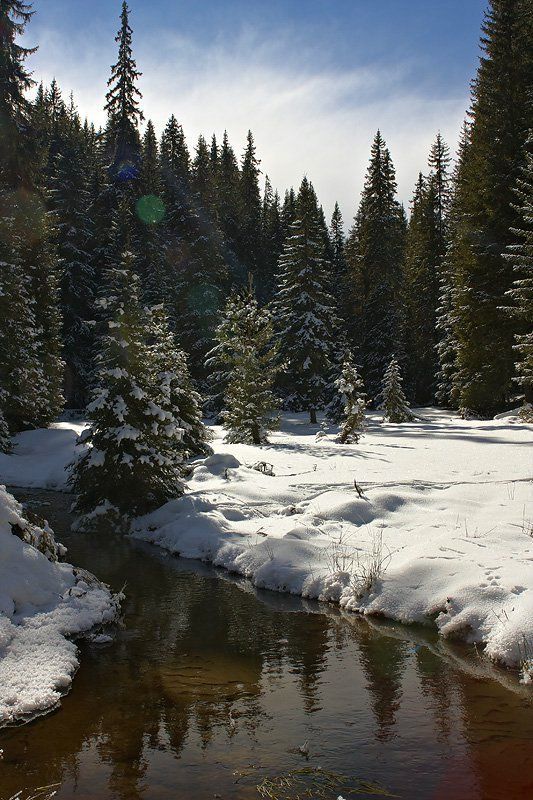 Bulgarian winter фото превью