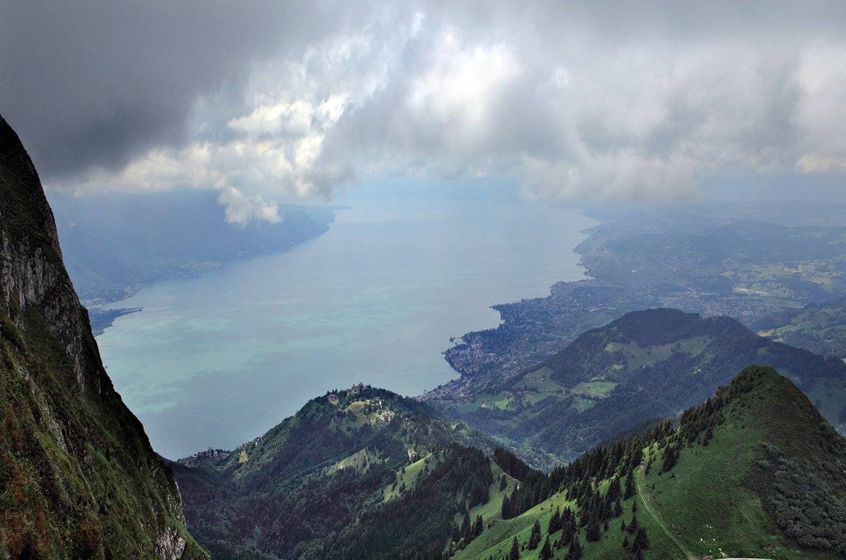 , Матвеев Николай