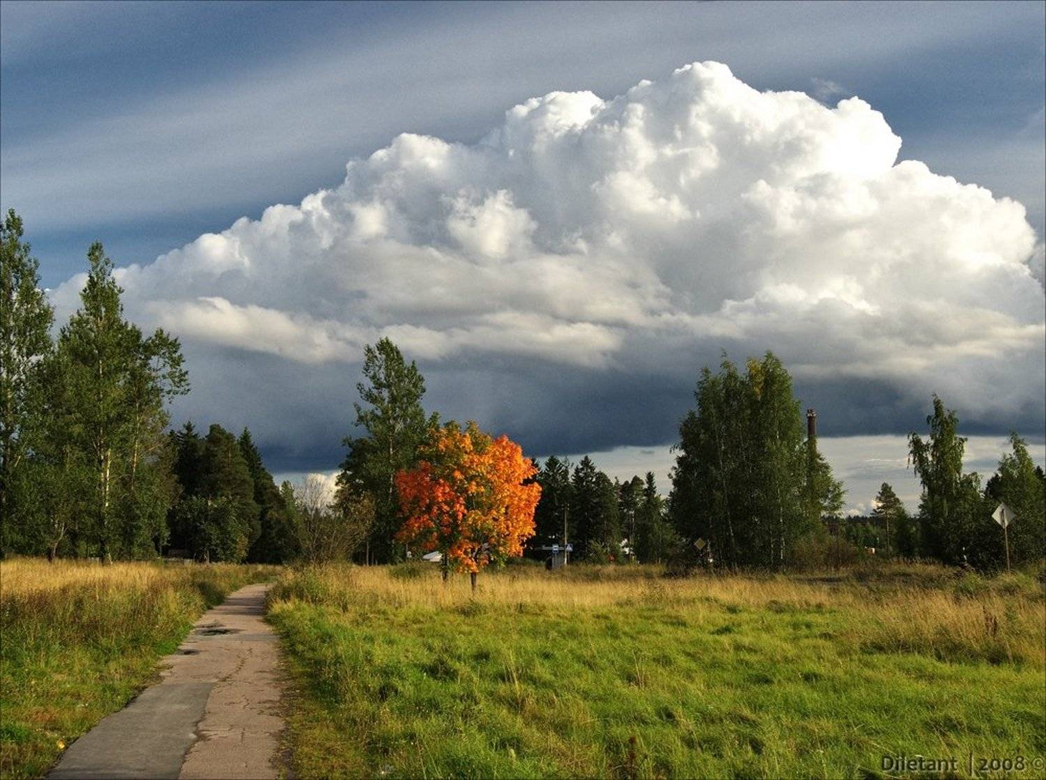лен.облась_выборгский, район_посёлок, лесогорский., Павел Жданов