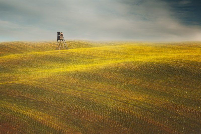 Sunny day фото превью