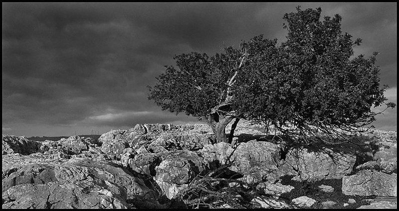 ветер фото превью