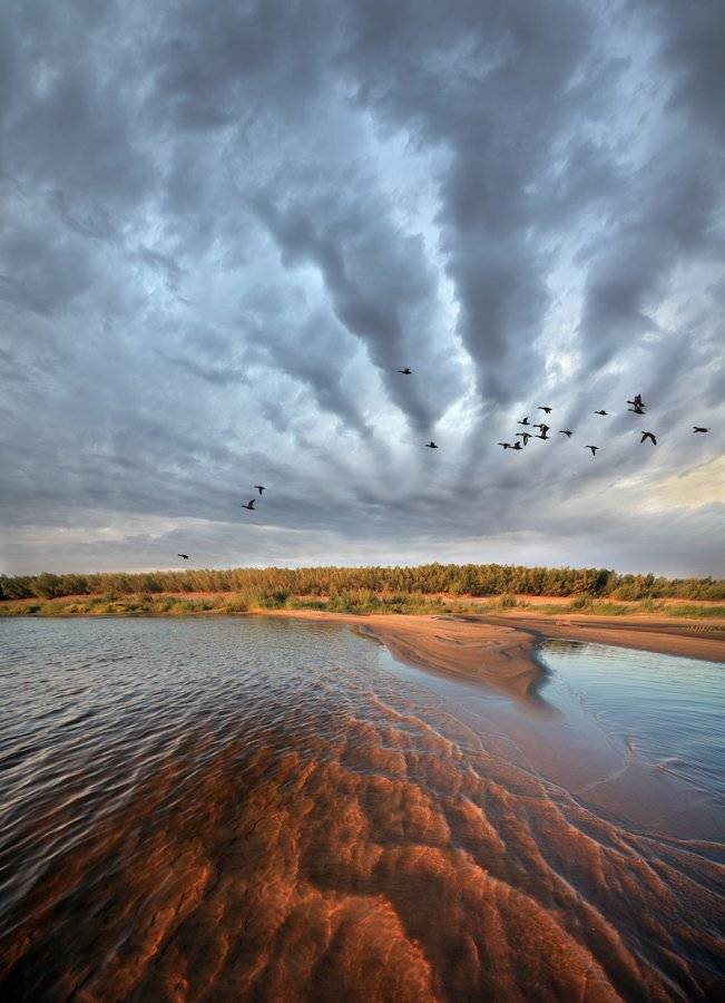 волга, сентябрь, утки, волны, тучи, Михаил Псарёв