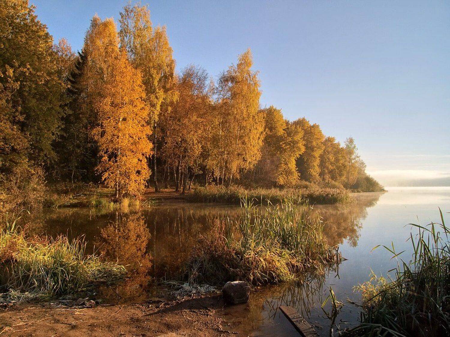 , Максим Евдокимов