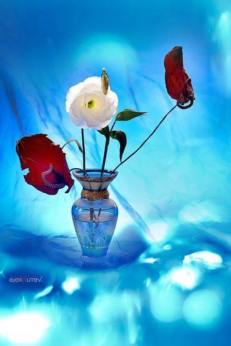 Ко дню Влюбленных !