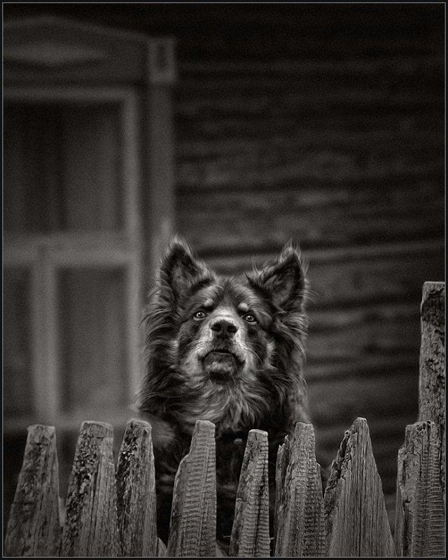 За сохранность имущества, отвечаю Я ... фото превью