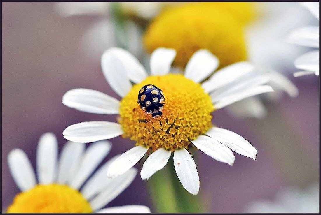 , Евгений Кирилкин.