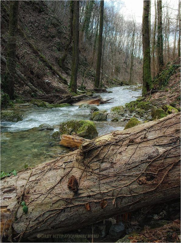 Февраль на Каверзинских фото превью
