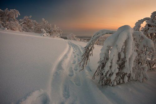 моя 100я на 35фото