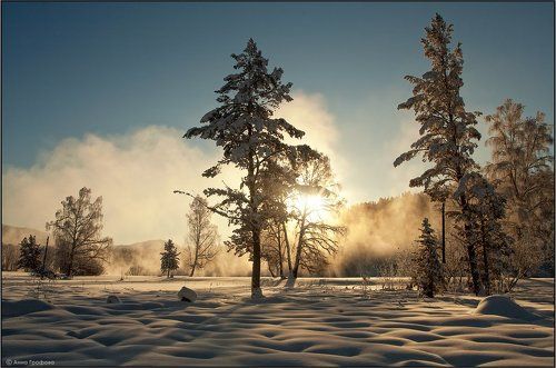 Зимнее солнце