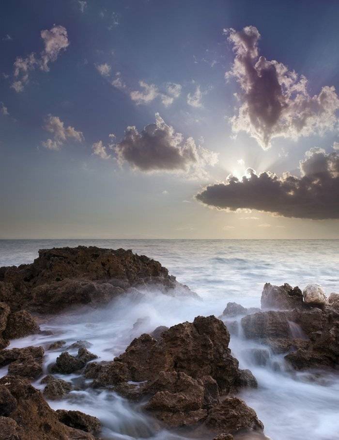 , Яна  Гайворонская