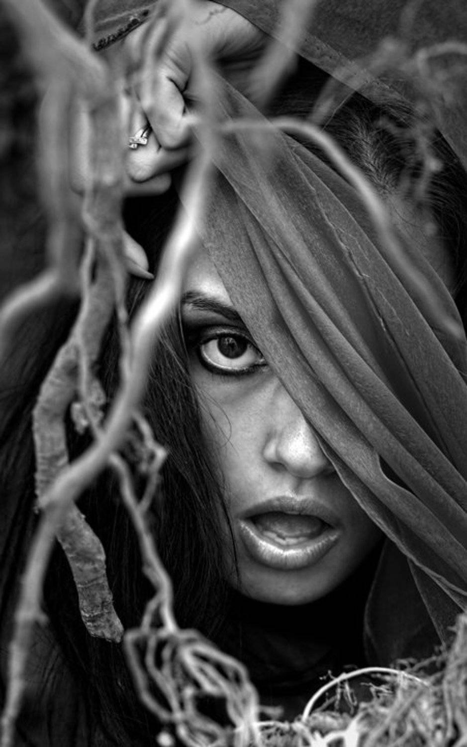 , Алексей Котов