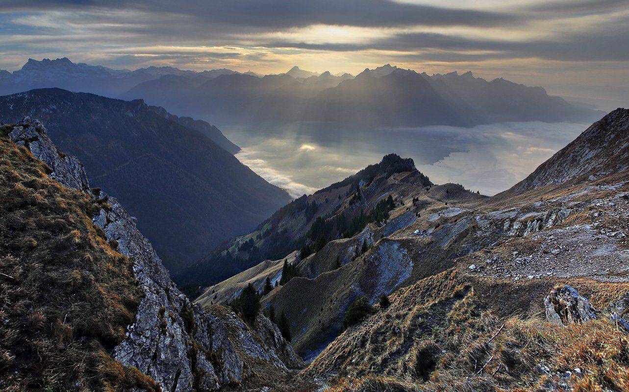 swiss,монтрё, Матвеев Николай