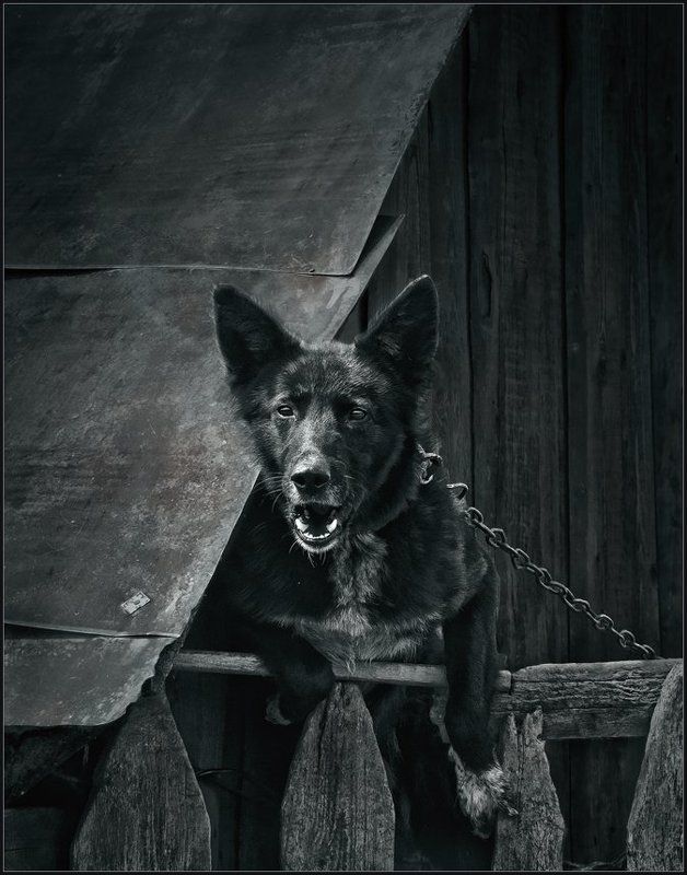 А, опять ты ... фото превью