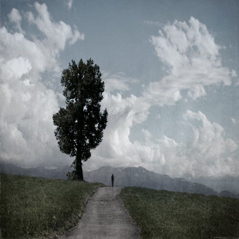 alone . фото превью