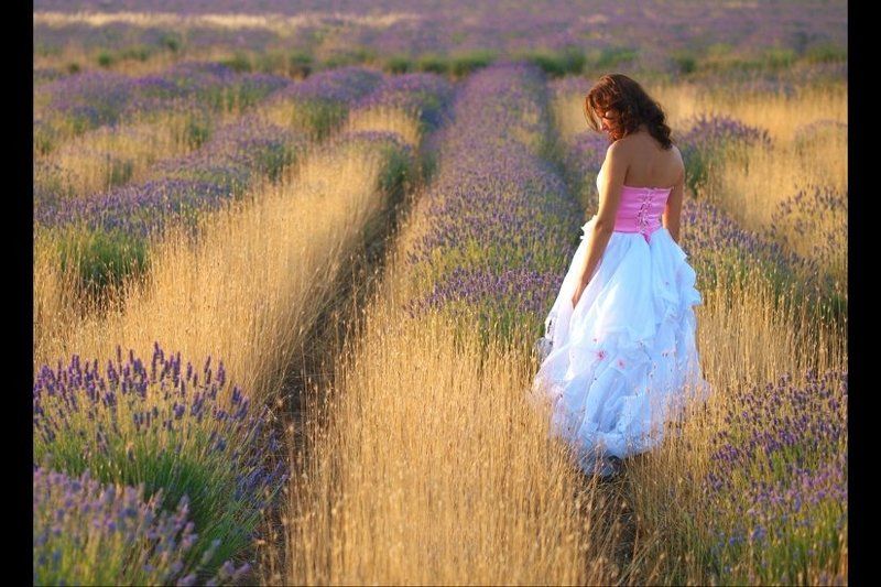 севастополь, кузнецов, лаванда, крым прованс фото превью