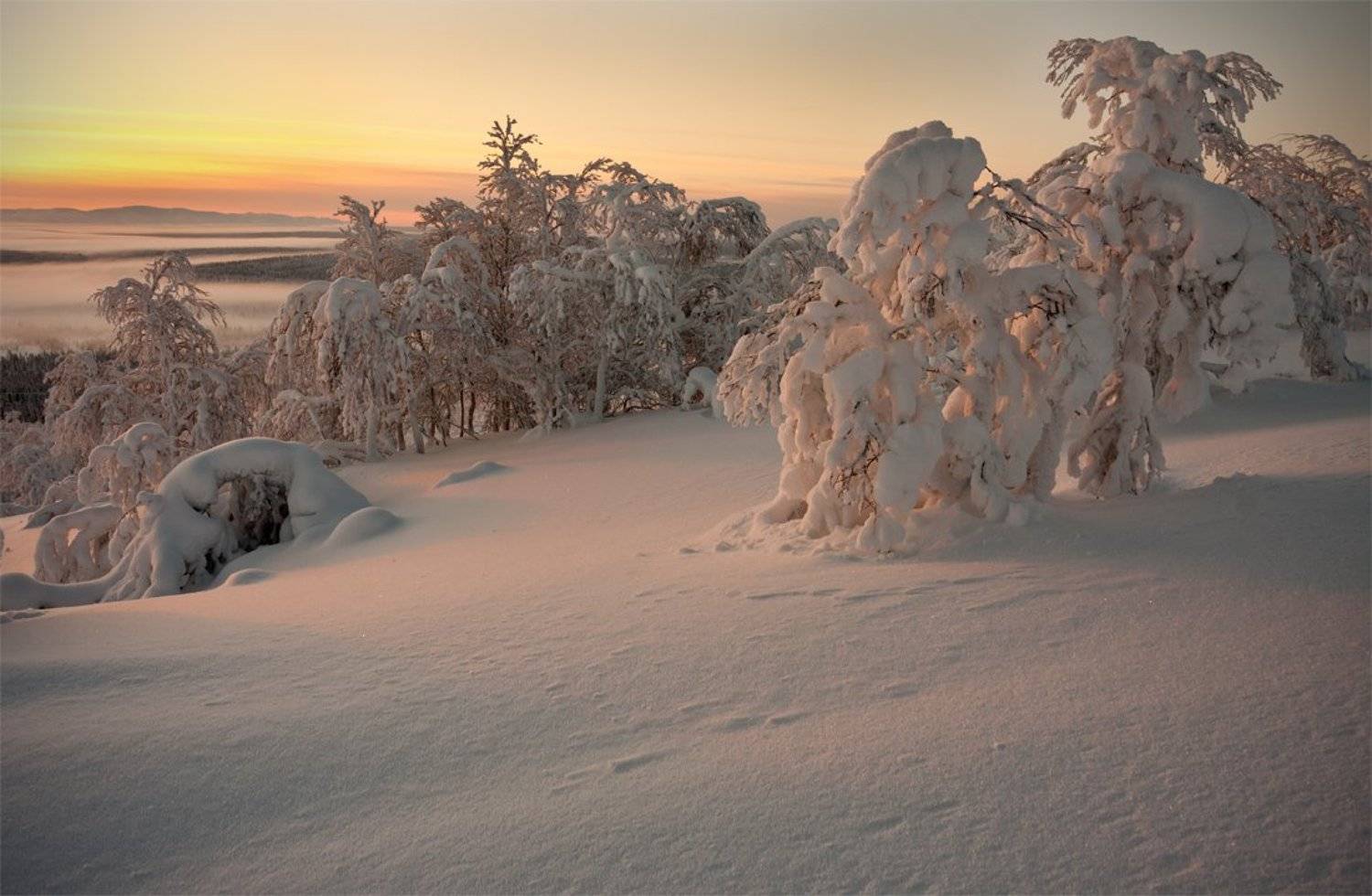 кольский, полуостров, зима, Nikolai (locus)