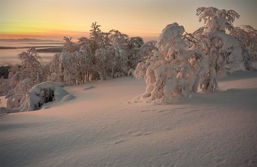 Теплый зимний свет