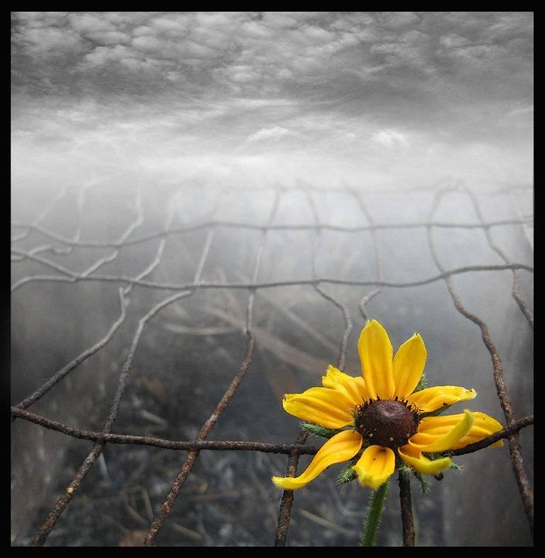 , александр