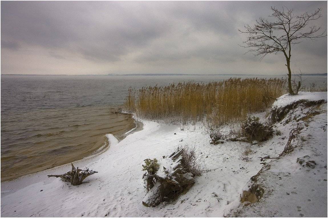 , Николай Шахманцир