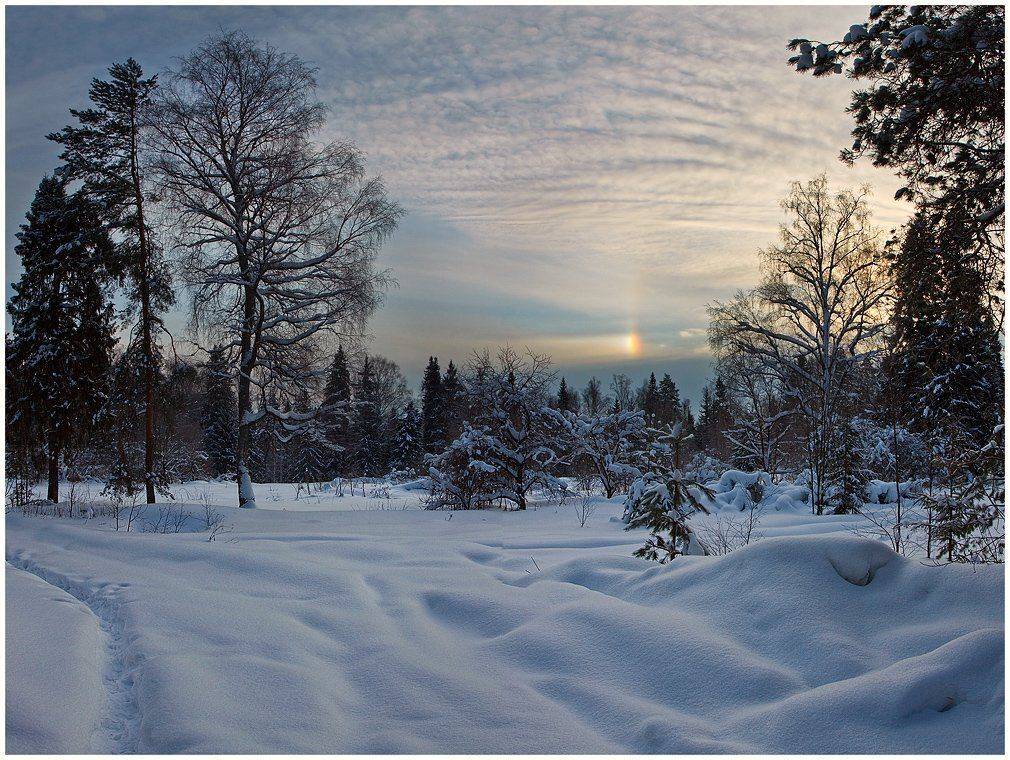 зима, пейзаж, снег, деревья, небо, лес, Oleg Dmitriev