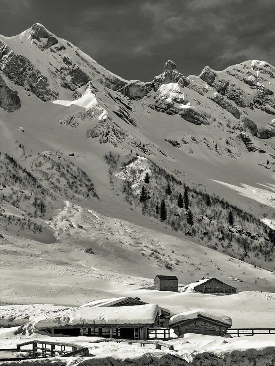 , Vasylevskyy Vitaliy