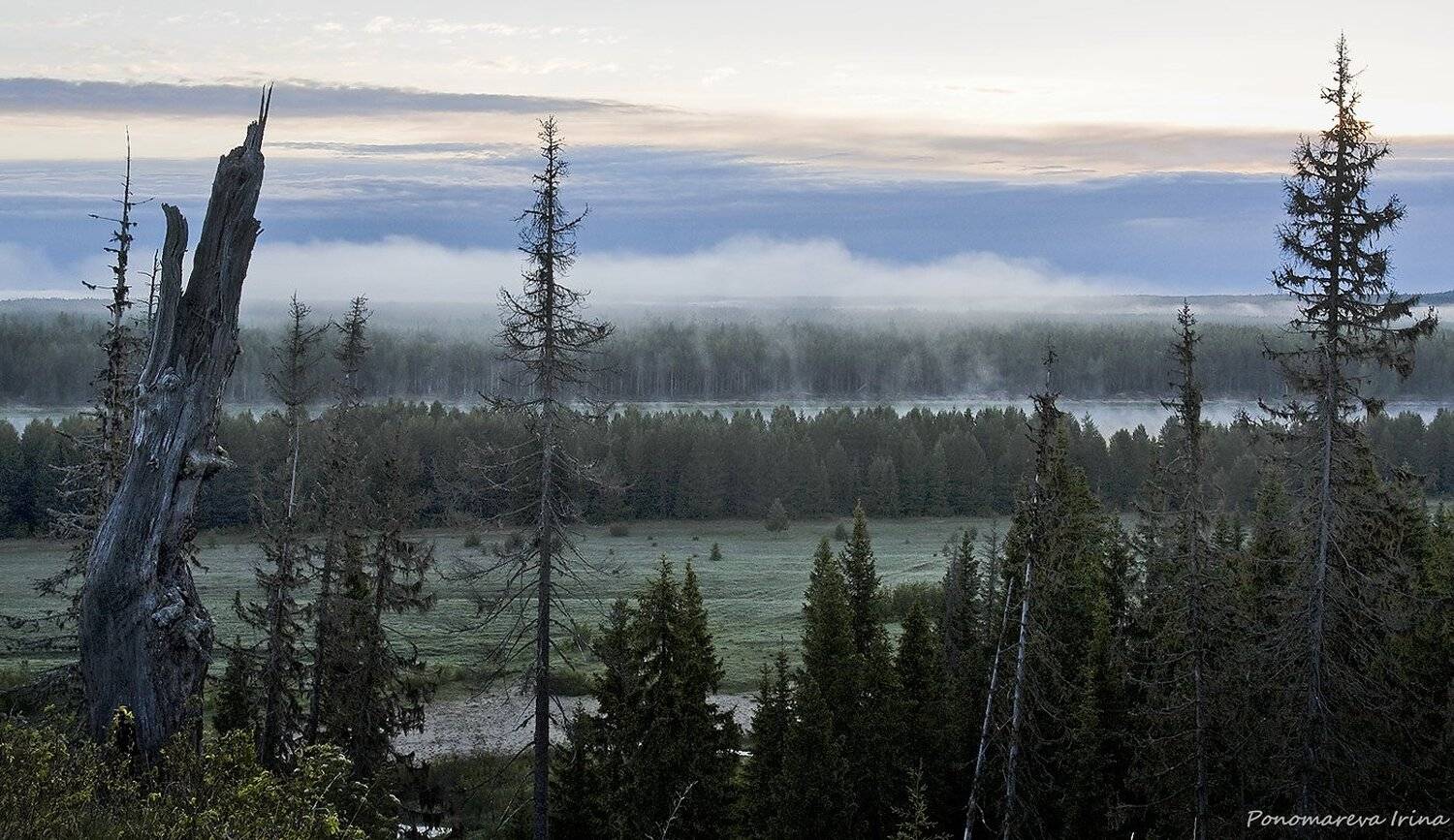 , Пономарева Ирина
