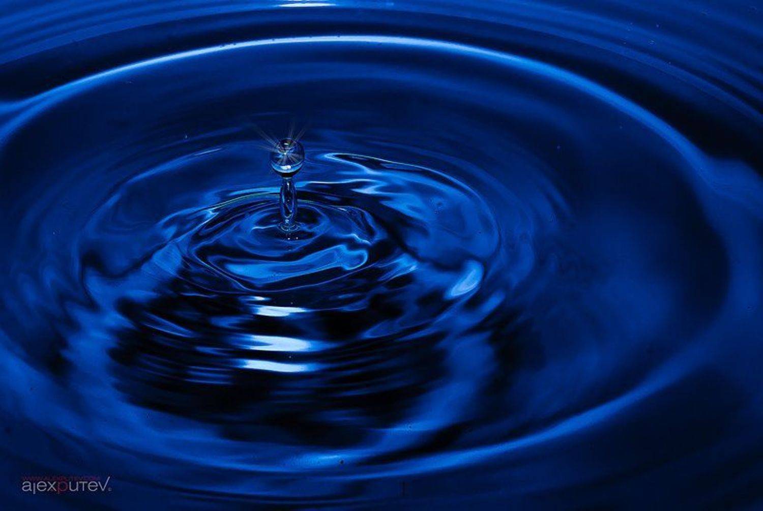 капля,вода,жидкость,динамика, Александр Путев