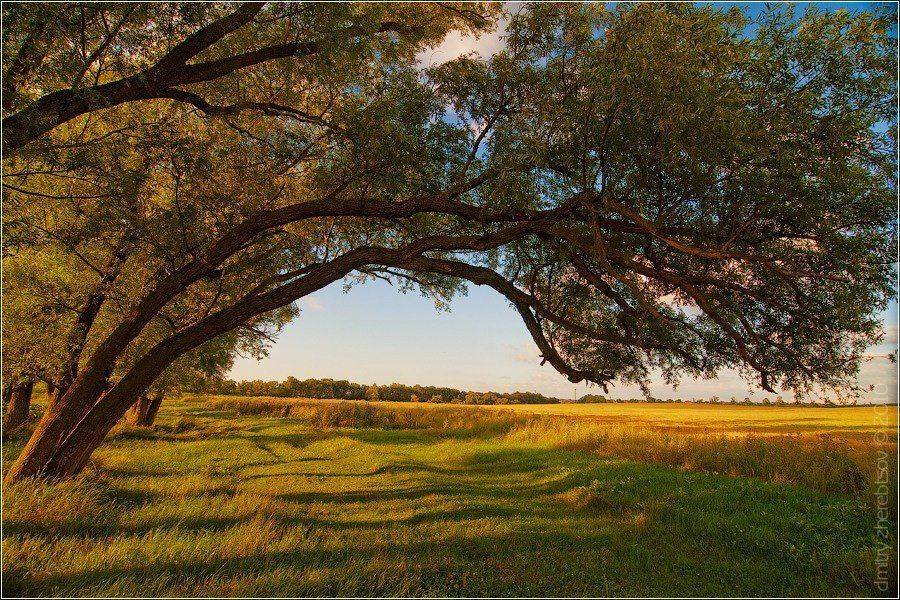 крым, Dmitry Zherebtsov