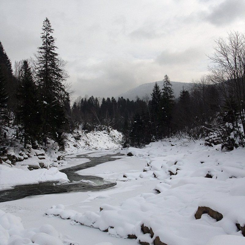 горганы, мизурка *** фото превью