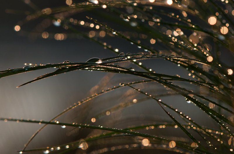 капли Калейдоскоп заката... фото превью