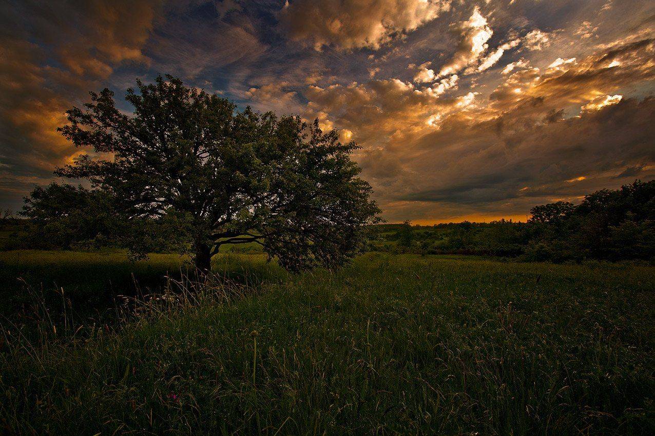 , Петр Антонович