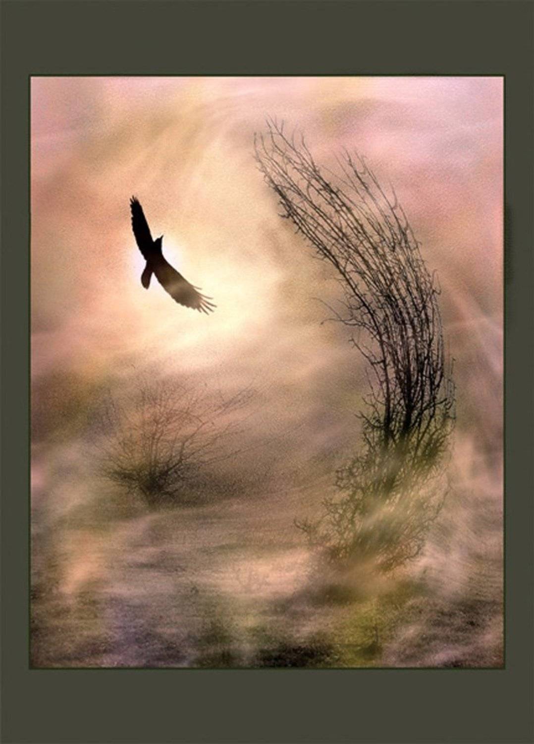 вихрь, схватка, противостояние, в, бурю, компьютерная, обработка, Yarfar