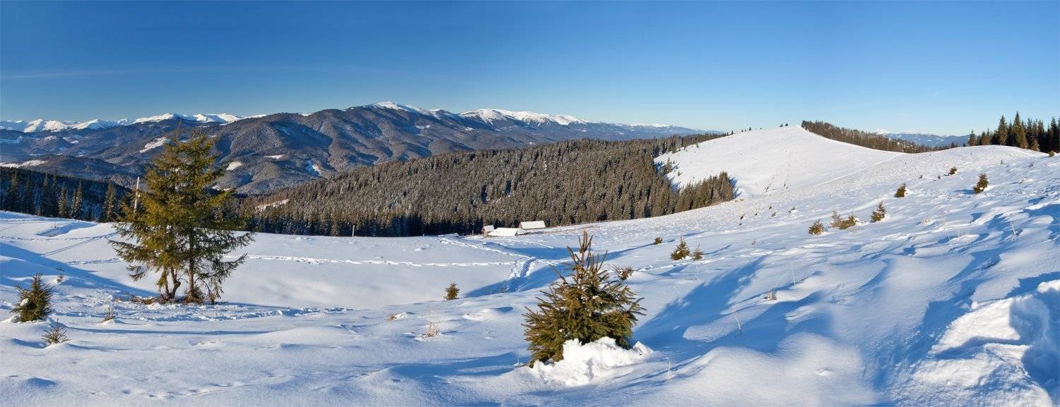 карпаты, Станислав Савицкий