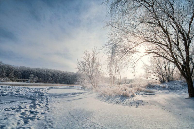Иней роняя... фото превью