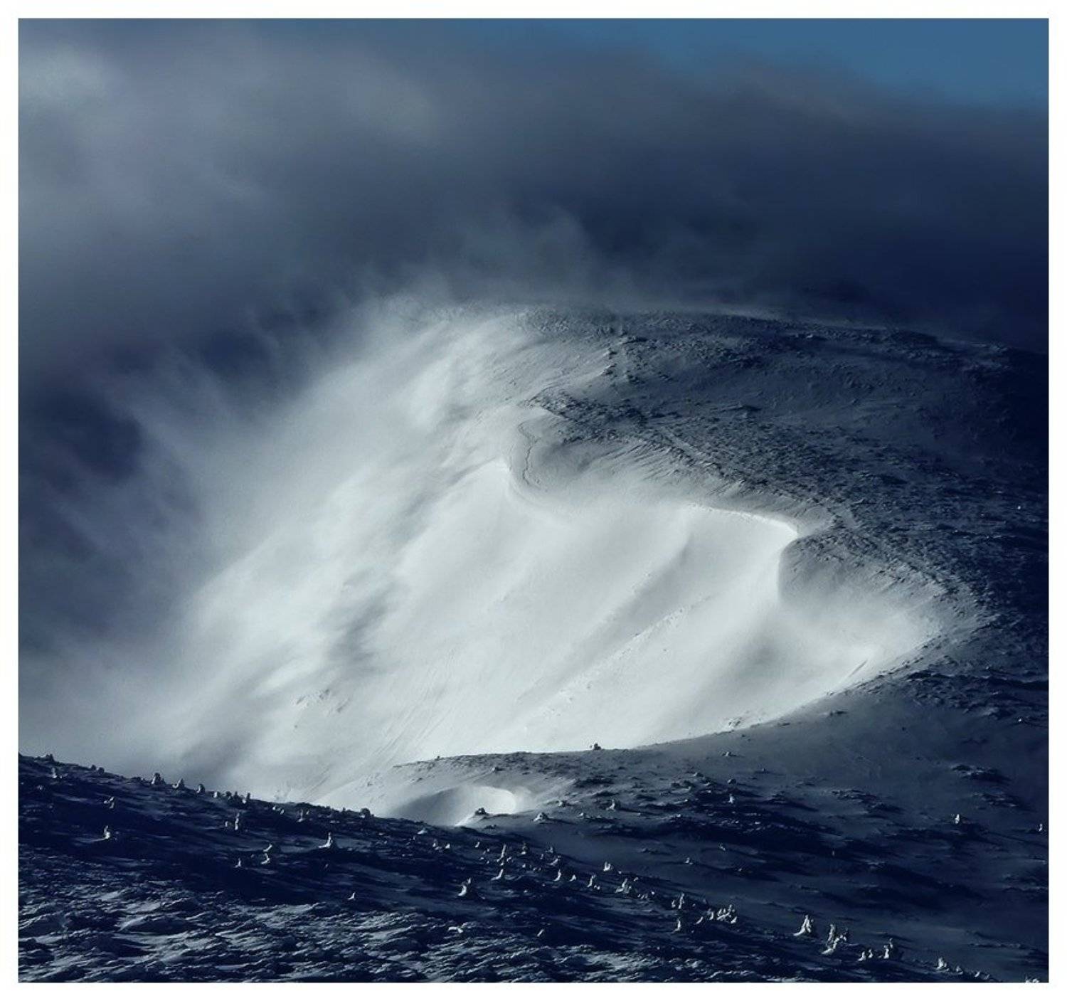 , Денис Кривой