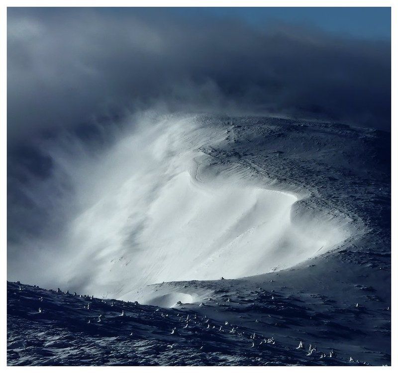 *** фото превью