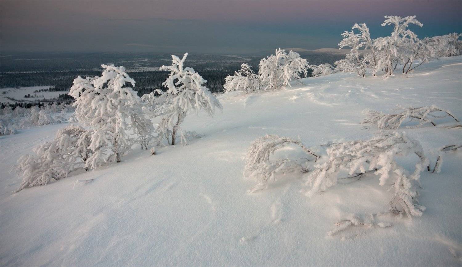 кольский, полуостров, зима, Nikolai (locus)
