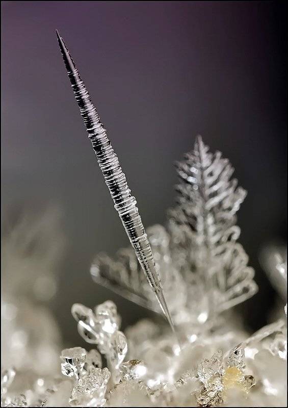 , Андрей Осокин