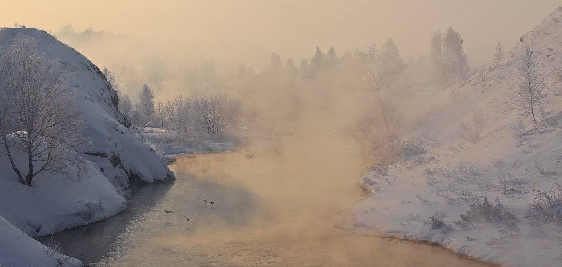 река,туман. утро,утки, Виктор