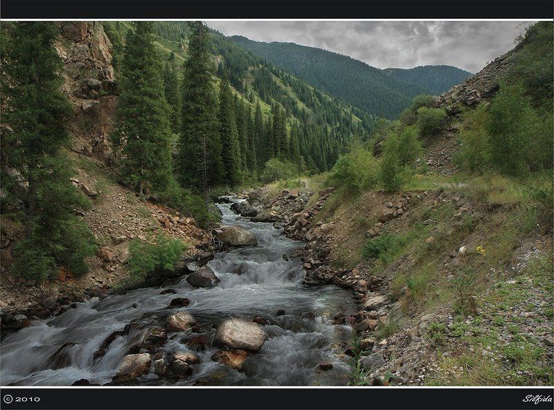 природа, горы, река, джайляу Из Тургеньского  ущелья на плато Ассы. фото превью