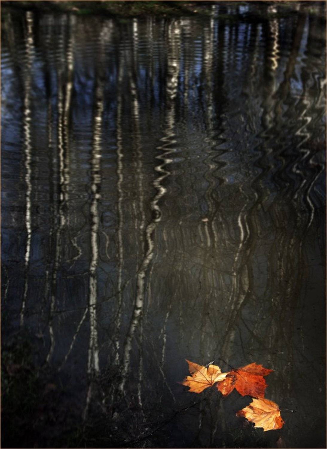 парки , осень, листья, Шуриман