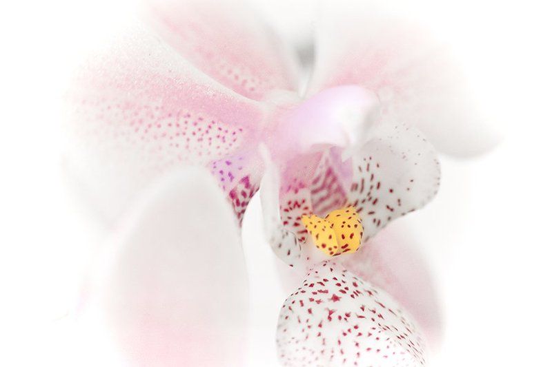 пробуждение фото превью